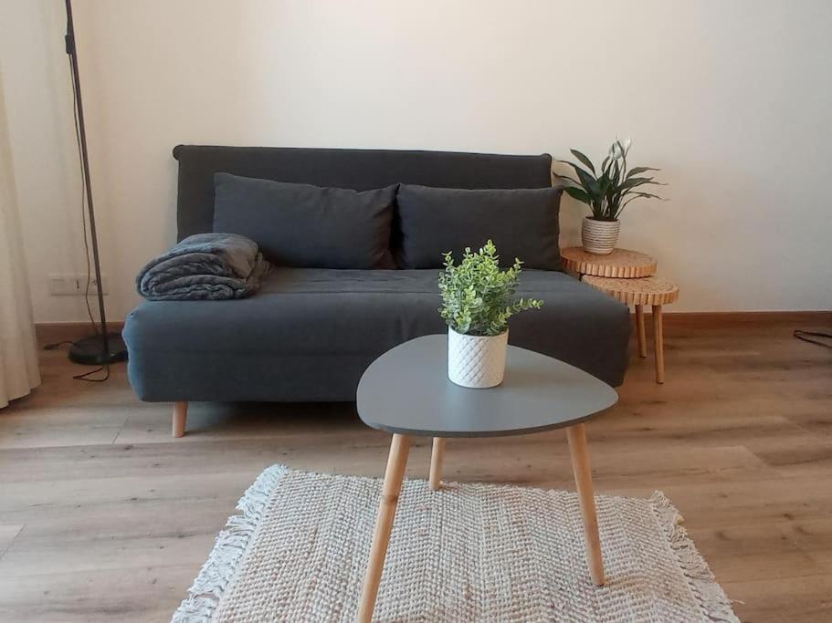 A 50 M De La Plage, Appartement De 35 M2 : Les Pieds Sales Bréhal Esterno foto